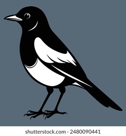 Magpie-Robin Vector Silhouette With white background. Magpie bird black and white vector logo. Magpie Robin logo on a branch icon design vector illustration in simple minimalist. Magpie silhouette.