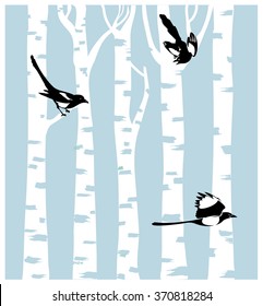 Magpies on a birch trees background