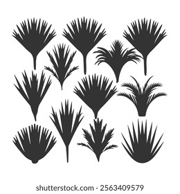 Maguey Plant Silhouettes Collection Silhouettes Premium Vectors