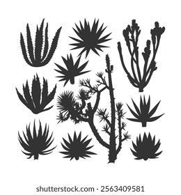 Maguey Plant Silhouettes Collection Silhouettes Premium Vectors