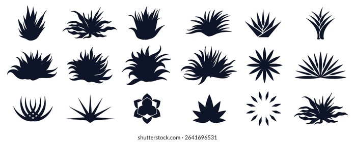 maguey plant silhouettes collection silhouettes premium vectors