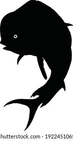 Mahi mahi or dolphin fish silhouette flat black vector isolate illustration.