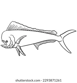 Mahi fish outline art ,good for graphic design resources, posters, banners, templates, prints, coloring books and more.