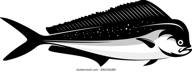 mahi mahi fish vector for fishing company logos