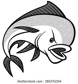 Mahi Mahi illustration