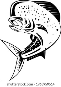 Mahi-mahi or Common Dolphinfish Jumping Up High Retro Black and White