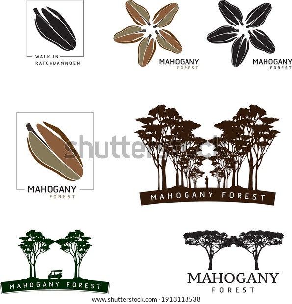 Mahogany\
fruits , seeds and mahogany tree logo vector\
set
