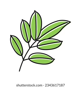 mahogany leaf color icon vector. mahogany leaf sign. isolated symbol illustration