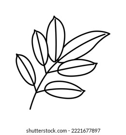 mahogany leaf line icon vector. mahogany leaf sign. isolated contour symbol black illustration