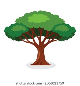 
Ilustración vectorial plana del árbol de caoba sobre fondo blanco