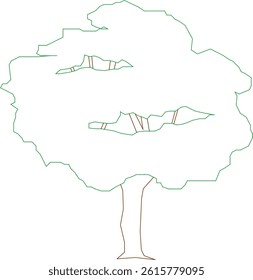 Mahogany tree Towering tall with a wide crown and glossy dark green leaves