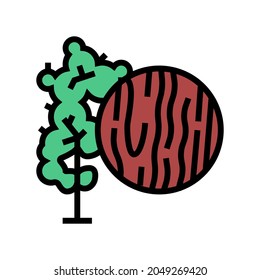 mahogany wood color icon vector. mahogany wood sign. isolated symbol illustration