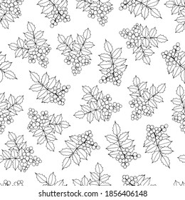 Mahonia aquifolium or Oregon grape  bush branch seamless pattern with leaves and berries in black and white color. Hand drawn botanical vector illustration.