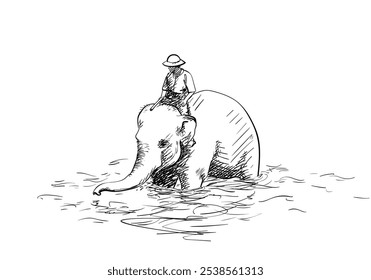 Mahout riding his elephant in water, Hand drawn illustration, Vector sketch of bathing elephant with man on the back