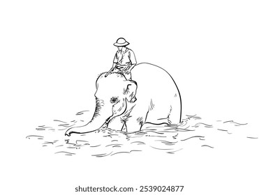 Mahout riding his elephant in water, Hand drawn illustration isolated, Vector sketch of bathing elephant with man on the back