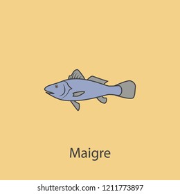 maigre 2 colored line icon. Simple purple and gray element illustration. maigre concept outline symbol design from fish set