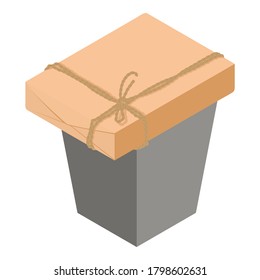 Mail package icon. Isometric illustration of mail package vector icon for web