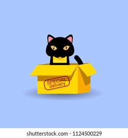 Mail special delivery by cat in a box.