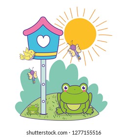 mailbox with bird and dragonflies with frog in the spring