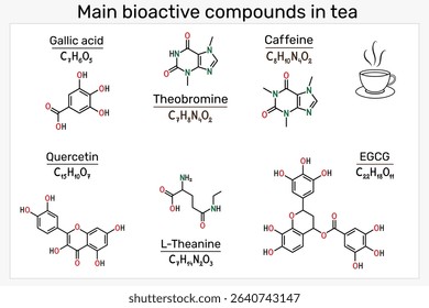 Main bioactive compounds in tea. Molecules of caffeine, theanine, EGCG, quercetin, theobromine and gallic acid. Vector illustration 