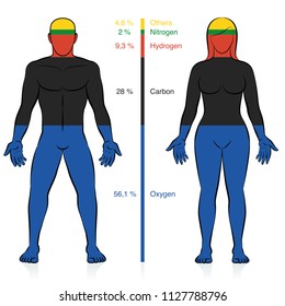 Principales Elementos químicos del cuerpo humano. Oxígeno, carbono, hidrógeno y nitrógeno con porcentaje de información de masa que componen un hombre y una mujer de peso normal. Vector Abstractas.