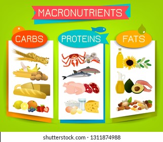 Main food groups - macronutrients. Carbohydrates, fats and proteins in comparison. Dieting, healthcare and eutrophy concept. Vector illustration isolated on a bright background. Landscape poster.