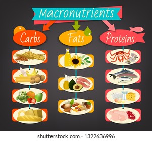 Main food groups - macronutrients. Carbohydrates, fats and proteins in comparison. Dieting, healthcare and eutrophy concept. Vector illustration isolated on a dark grey background. Landscape poster.