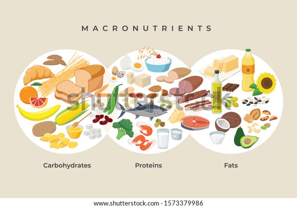 Main food groups - macronutrients.\
Carbohydrates, fats and proteins in comparison, foods icons in flat\
design isolated. Dieting, healthy eating concept. Vector\
illustration, infographic\
elements.
