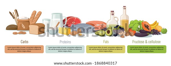 Main Food Groups Macronutrients Carbohydrates Fats Proteins And Fructose Vector 5606