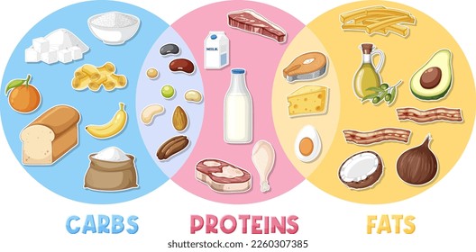 Main food groups macronutrients vector illustration