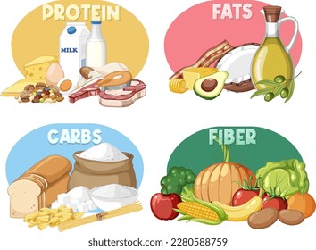 Main food groups macronutrients vector illustration