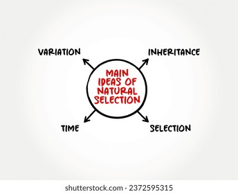 Main ideas of natural selection (differential survival and reproduction of individuals due to differences in phenotype) mind map text concept background