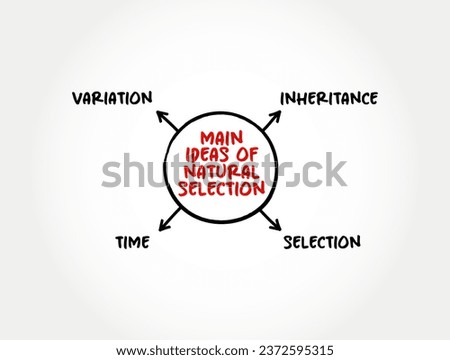 Main ideas of natural selection (differential survival and reproduction of individuals due to differences in phenotype) mind map text concept background