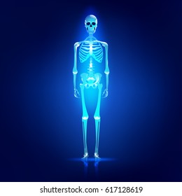 Main parts of human skeleton system, shiny skull and skeleton