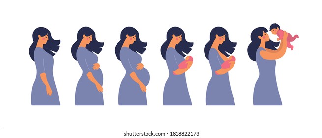 The main stages of pregnancy. Changes in the female body during pregnancy week after week. Set for infographics. Pregnancy Calendar. Flat stock vector illustration.