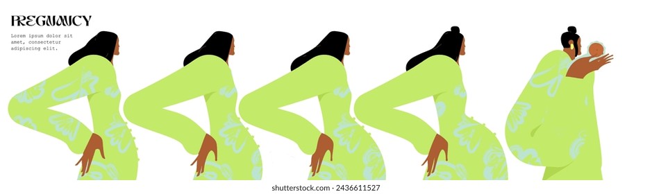 The main stages of pregnancy. Changes in the female body during pregnancy week after week. Pregnancy Calendar. Flat stock vector illustration.