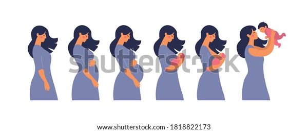 Main Stages Pregnancy Changes Female Body Stock Vector (Royalty Free ...