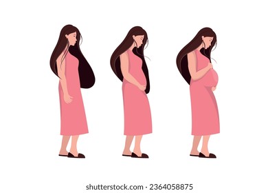 The main stages of pregnancy. Changes in a woman's body during pregnancy week by week. Set for infographics. Pregnancy Calendar. Flat stock vector illustration.
