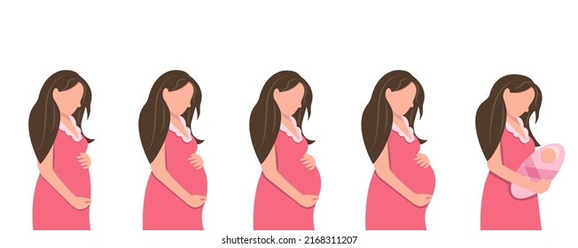 Main stages of pregnancy. Fetal growth by months. Pregnancy Calendar. Happy pregnancy and waiting process. Pregnancy and motherhood. Vector illustration in a flat style. Health care.