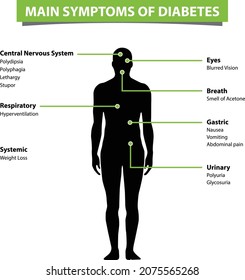 Main Symptoms of Diabetes. vector illustrations