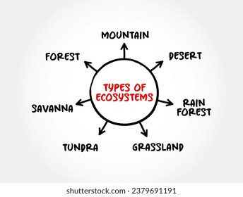Main types of Ecosystems (consists of all the organisms and the physical environment with which they interact) mind map text concept background