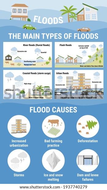 The main types of floods and flood causes.\
Flooding infographic. Flood natural disaster with rainstorm,\
weather hazard. Houses, cars, trees, covered with water. Global\
warming concept. Flat\
vector.