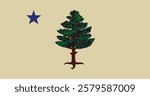 Maine (1901-1909) Flag Vector Illustration Premium Quality