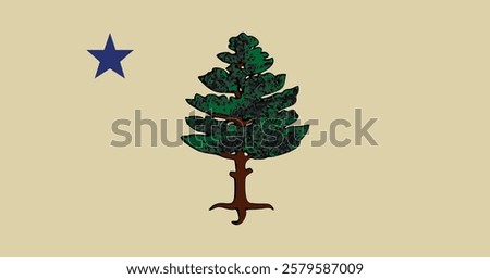Maine (1901-1909) Flag Vector Illustration Premium Quality