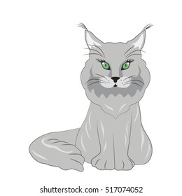 Maine Coon