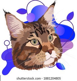 Maine Coon is a big cat. Vector image. Portrait