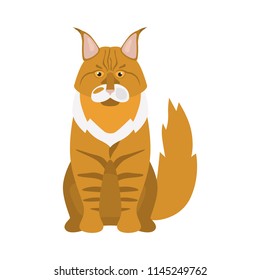 Maine coon breed cat color icon. Flat design