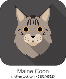 Maine Coon, Cat breed face cartoon flat icon design