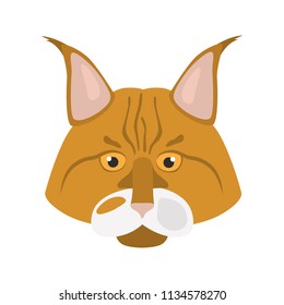 Maine Coon cat breed muzzle color vector icon
