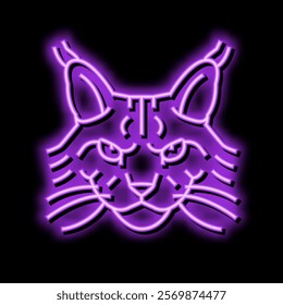 maine coon cat cute pet neon light sign vector. maine coon cat cute pet illustration